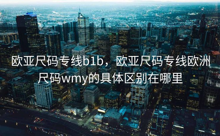 欧亚尺码专线b1b，欧亚尺码专线欧洲尺码wmy的具体区别在哪里